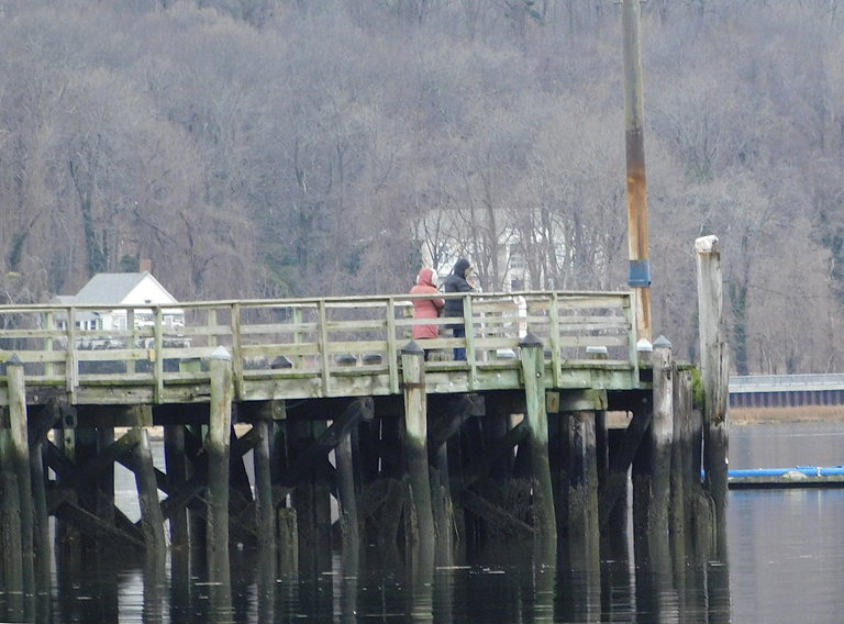 couple on a pier oyster bay.png