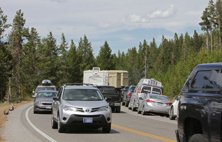 Traffic_near_Midway_Geyser_Basin Jim Peaco July 30, 2014 public national park service.jpg