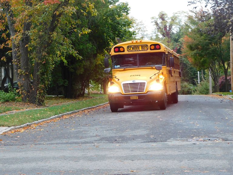 school bus autumn blog.png