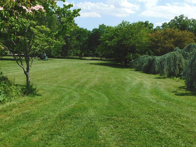 green expansive lawn2.png