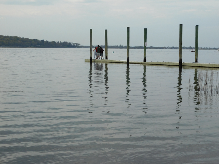 people on the pier amazing nature.png