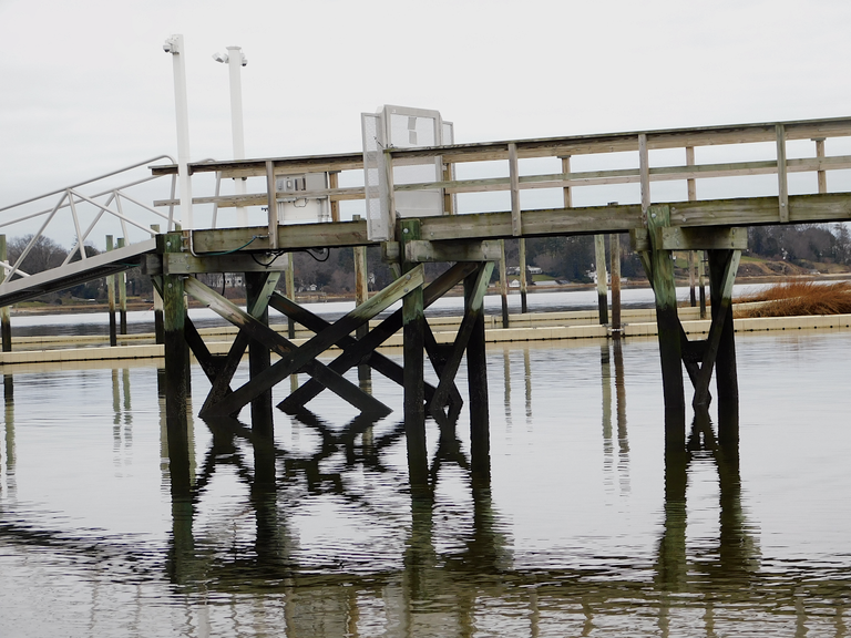 lateral view pier oyster bay.png