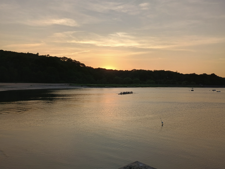 rowers out at sea.png