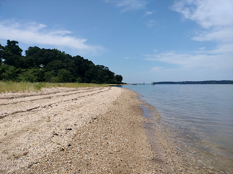 Cold spring harbor beach leading to oyster bay.png