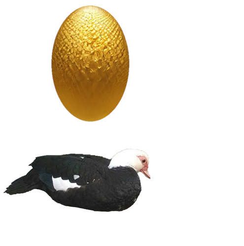 lmac 211 golden egg and goose process.png