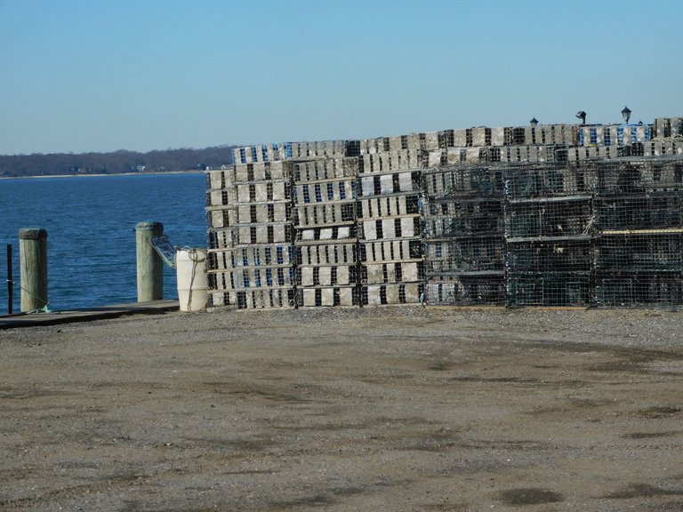 lobstger of clam traps northport.jpg