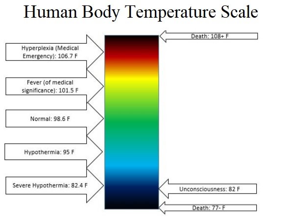 temperature scale human body.jpg