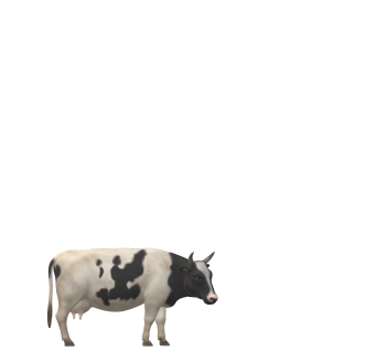 cow for dwixer 3.png