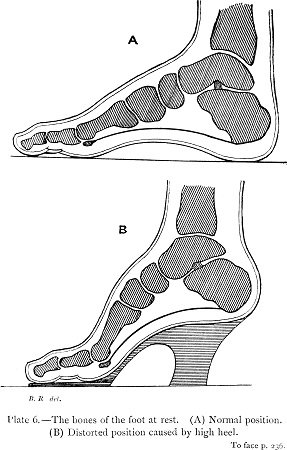 Science_ofDressTo_face_p236 Ada S. Ballin 1885 pd.jpg