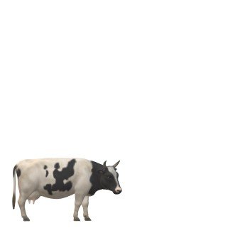 cow for dwixer 1.jpg