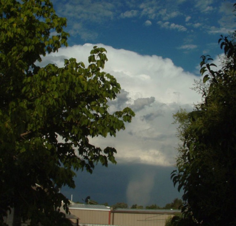 Hailshaft Bidgee 2.5.jpg