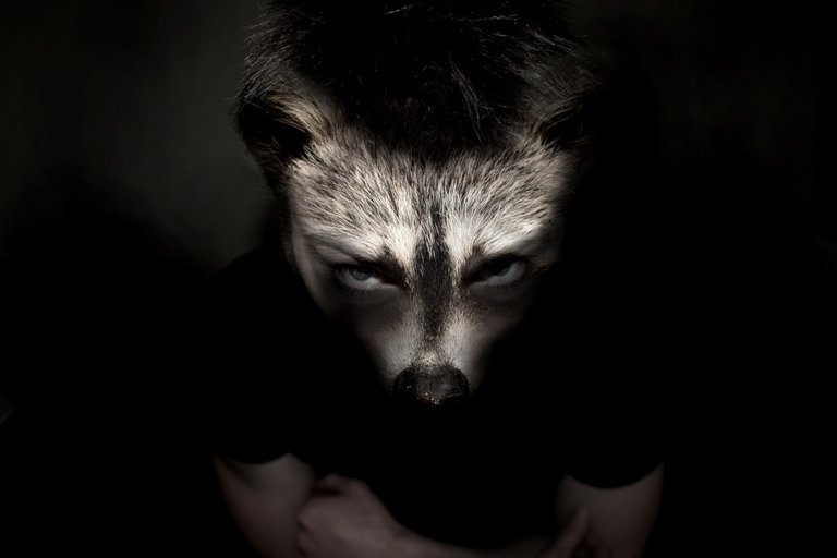 werewolf pixabay.jpg