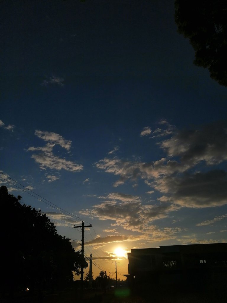 IMG_20230428_173100.jpg