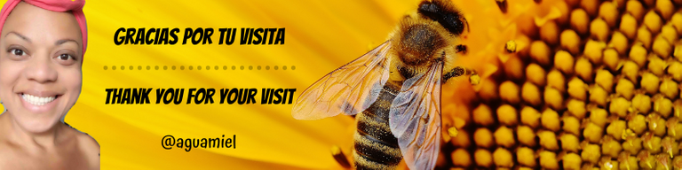 banner abeja.png