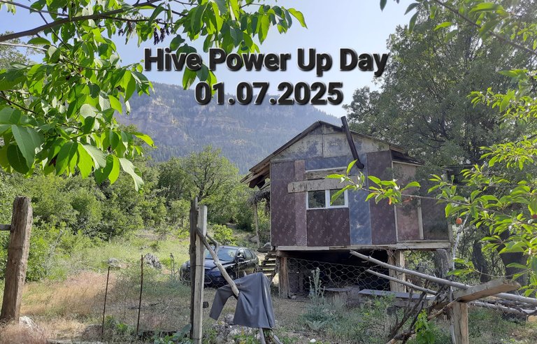 Hive Power Up Day 01.07.2025