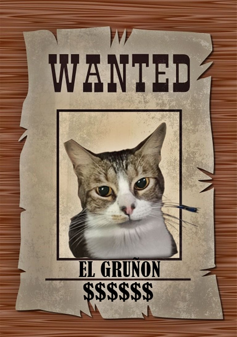 wanted-poster.jpg