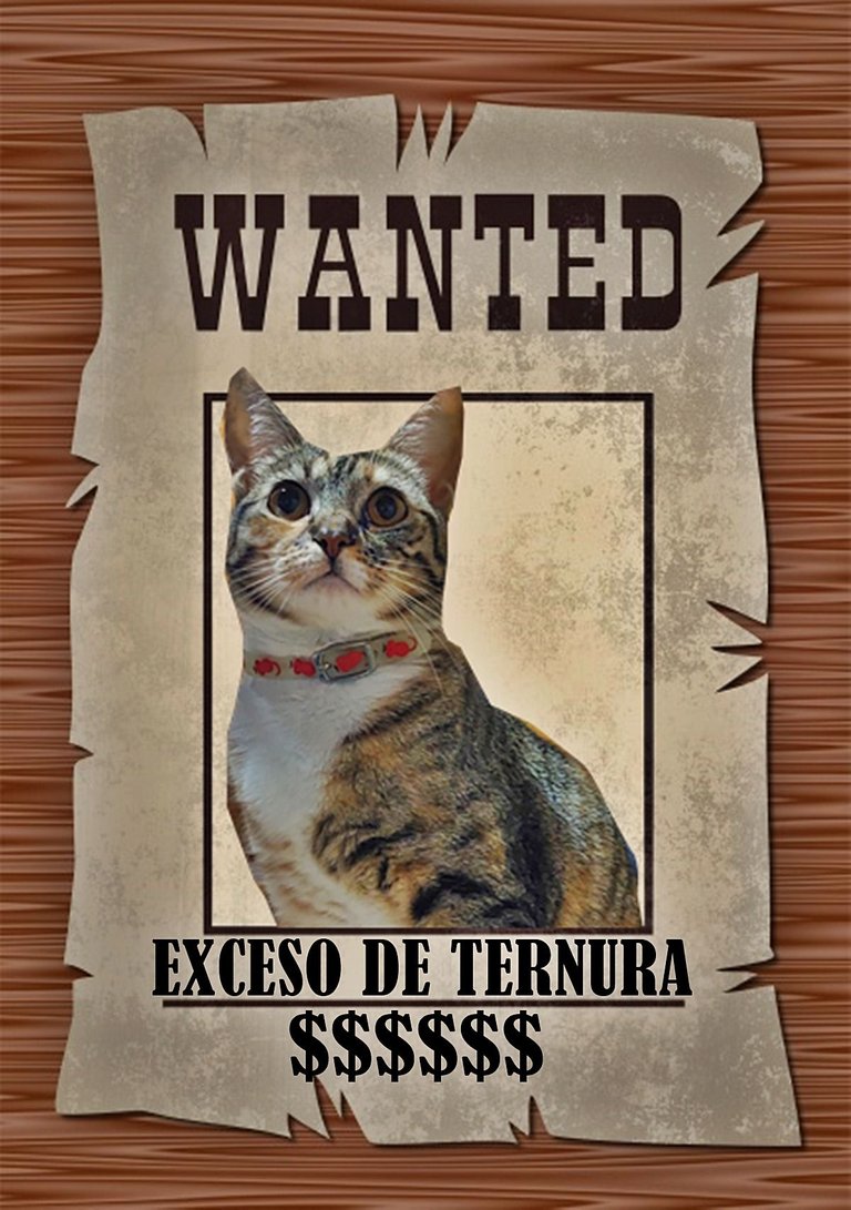 wanted-poster.jpg