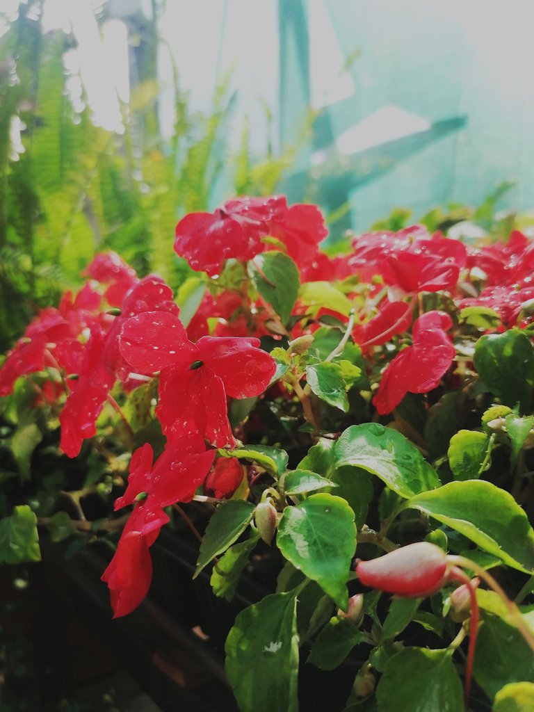 IMG_20221208_161103.jpg