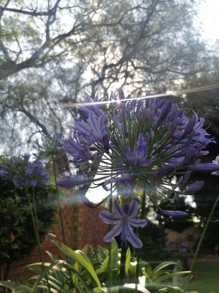 IMG_20221205_074858.jpg