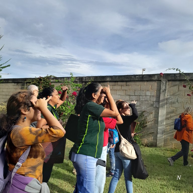 4 JUL pajareando ARUFLO (15).jpeg
