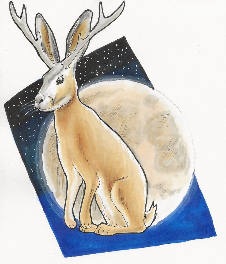 Jackalope.jpg