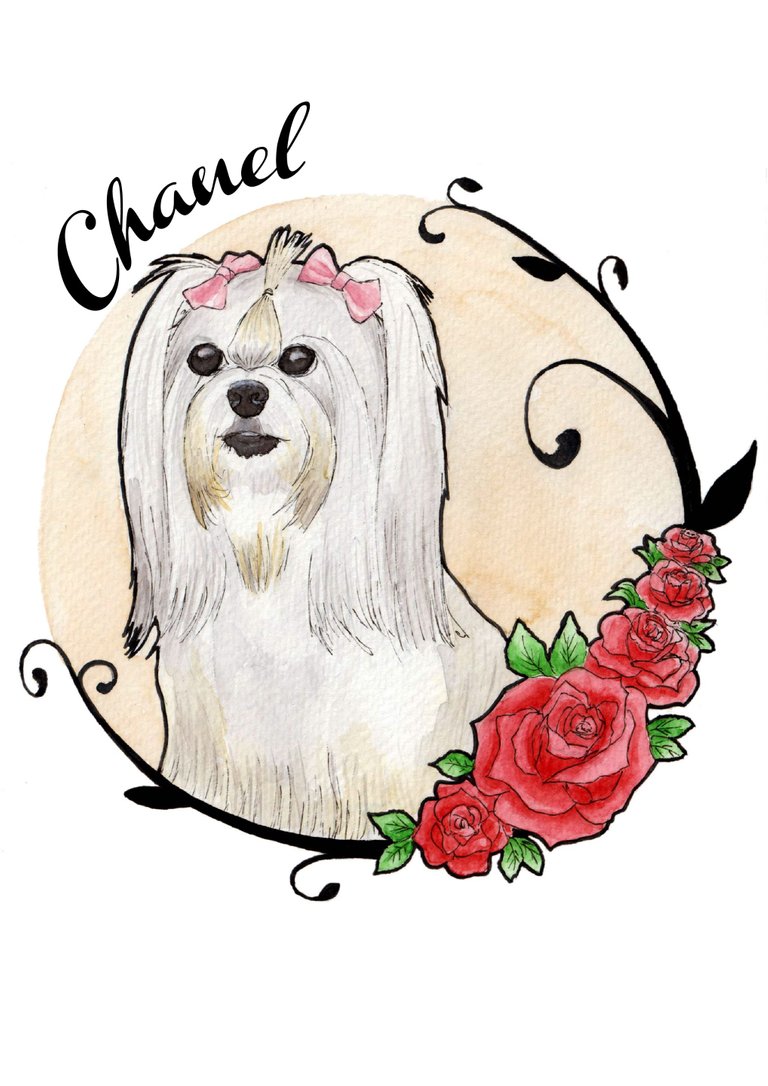 Chanel-01.jpg