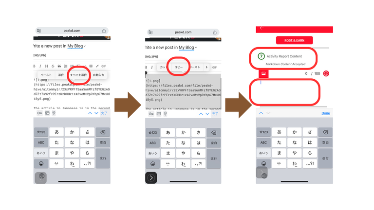 3.png