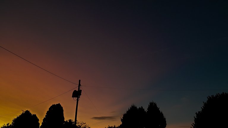 20220226_190229.jpg