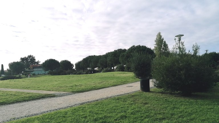 08.jpg