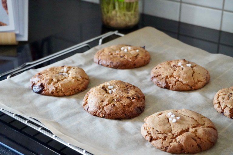 Juhuuu, I could make chocolate chip cookies!