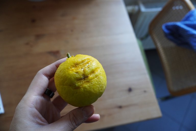 Damaged yuzu fruit