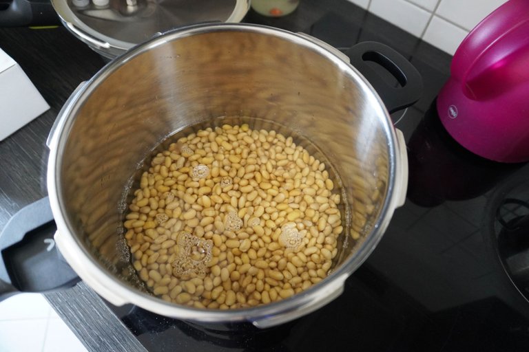 Soybeans soaked in water overnight