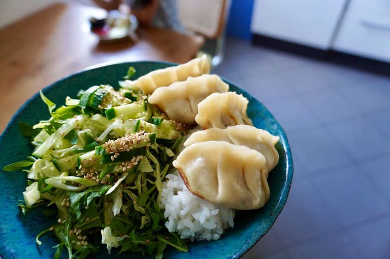 Gyoza and salad