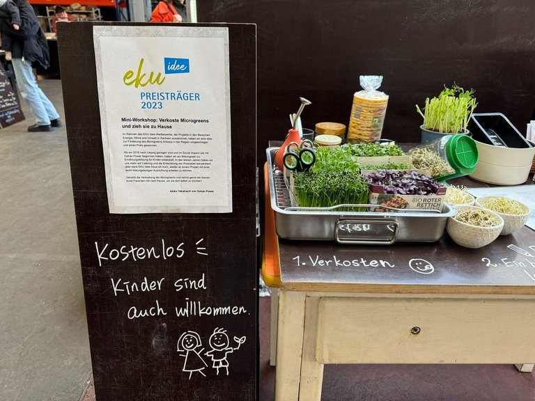 Microgreen workshop at a local market