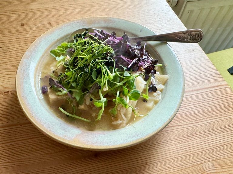 Soup with tempeh, daikon, green onions, ginger, and garlic