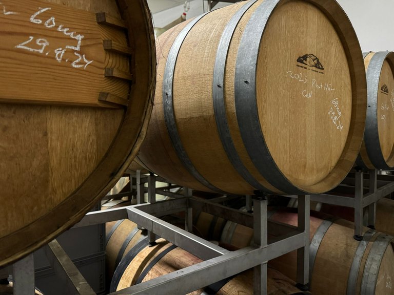 The oak barrels