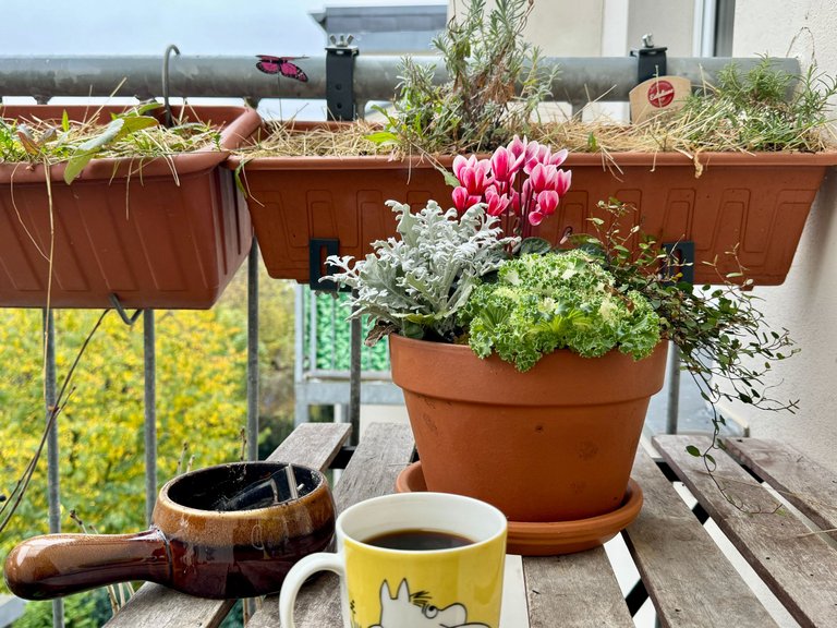 Coffee Time Seeing the Planter Arrangement