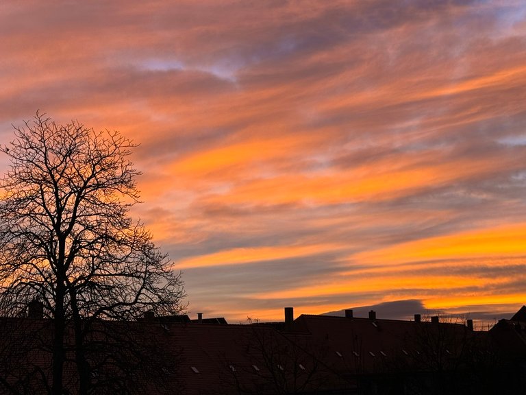 View from the balcony on New Year's Day