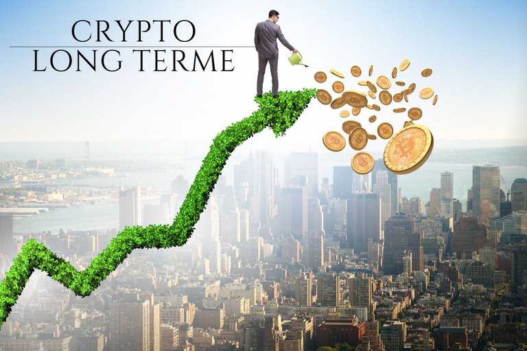 crypto-long-terme.jpg