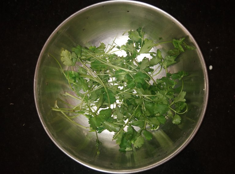 Coriander leaf.jpg