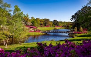 bellingrath-gardens-alabama-landscape-scenic-158063.jpeg