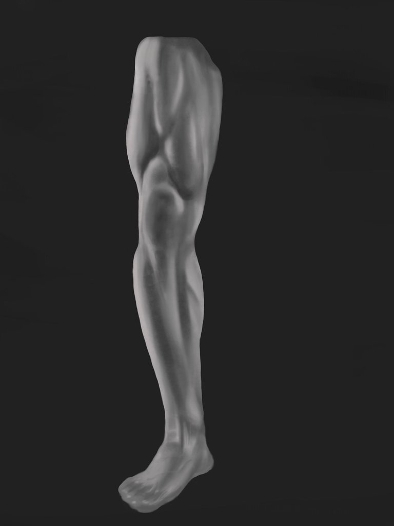 leg .jpg