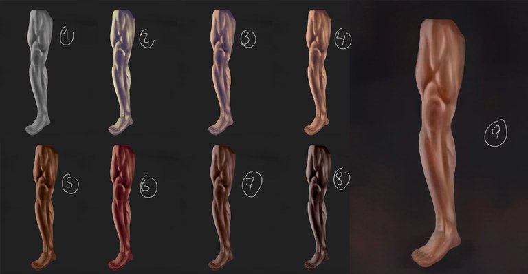 legs2.jpg