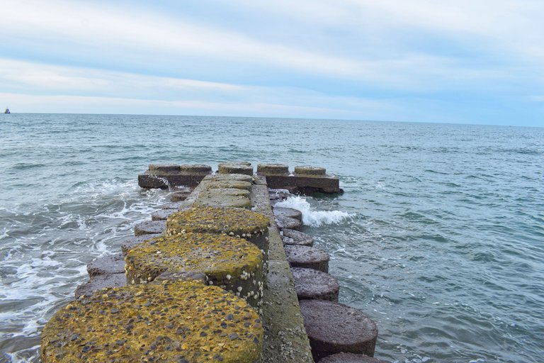 DSC_0043-01.jpeg