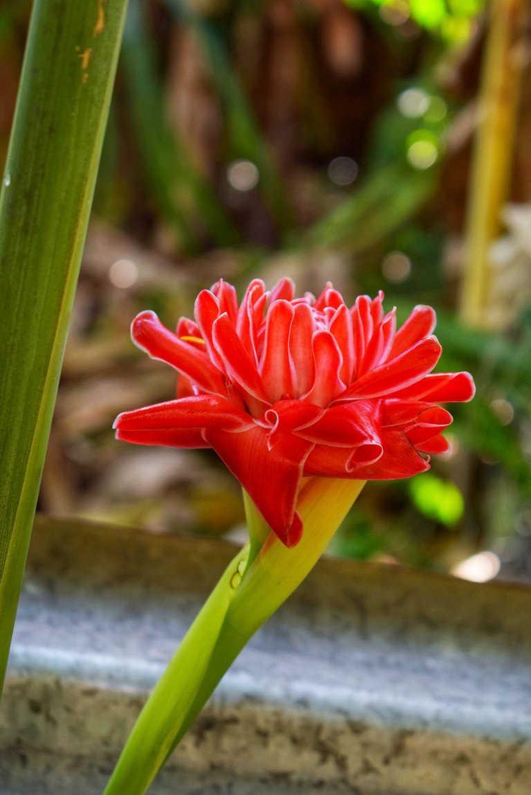 DSC_6314-01.jpeg
