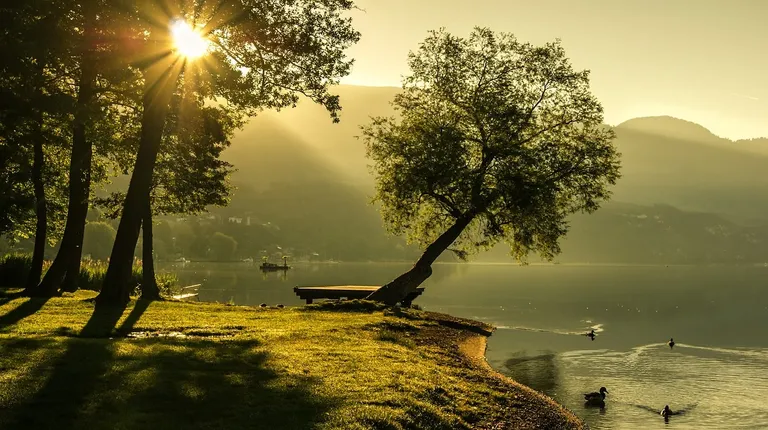 landscape-1192669_1280.webp