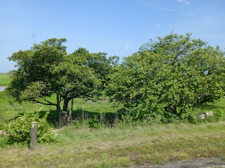 IMG_20250427_095356.jpg
