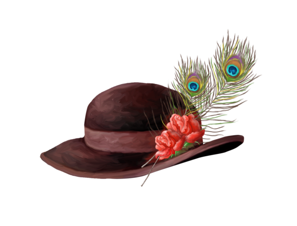 kisspng-feather-hat-bonnet-cap-feather-hat-5a86923aadbe40.8409492815187686987117.png