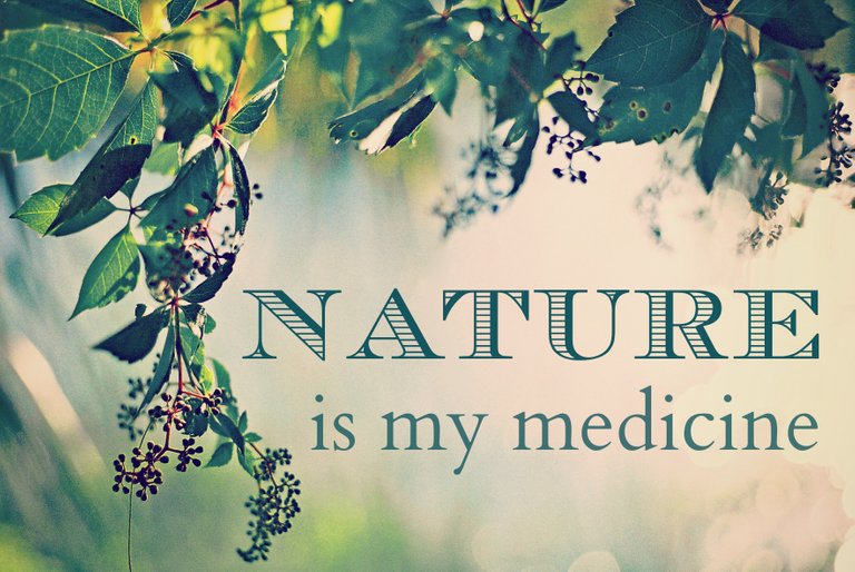 nature is my medicine.jpg