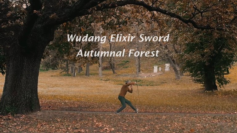 Wudang Dan Jian thumbnail.jpg
